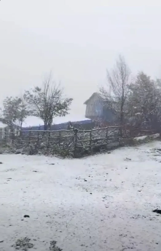Ordu’nun yaylalarına mevsimin ilk karı düştü.