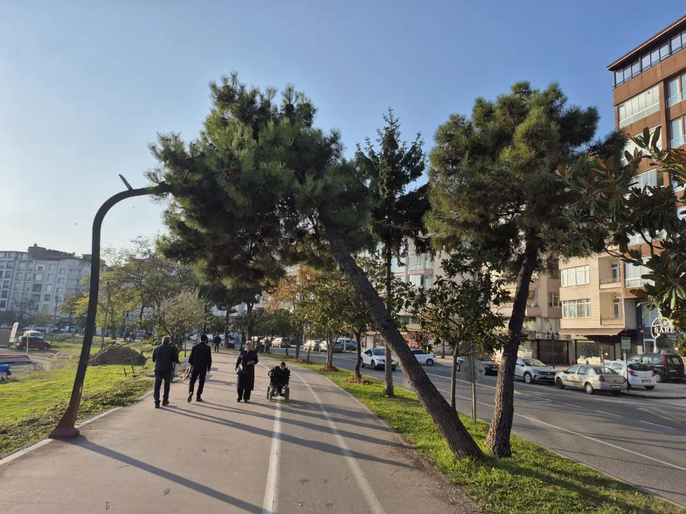 RİSKLİ AĞAÇLARA MÜDAHALE!