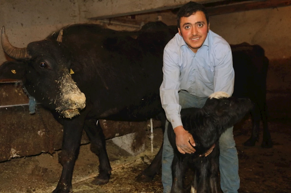 HAYVANCILIK YÜZ GÜLDÜRÜYOR